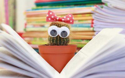 云呼手机号测压网页版